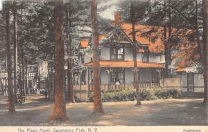 Sacandaga Park New York Pines Hotel Street View Antique Postcard K54058