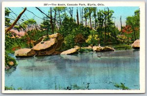 Vtg Elyria Ohio OH The Basin Cascade Park 1920s View Postcard