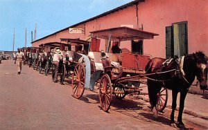 Colorful Native carriages Nassau, Bahamas Virgin Islands Unused 