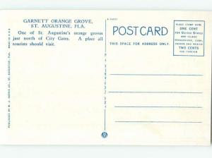 W-Border ORANGE GROVE St. Augustine Florida FL HJ7164