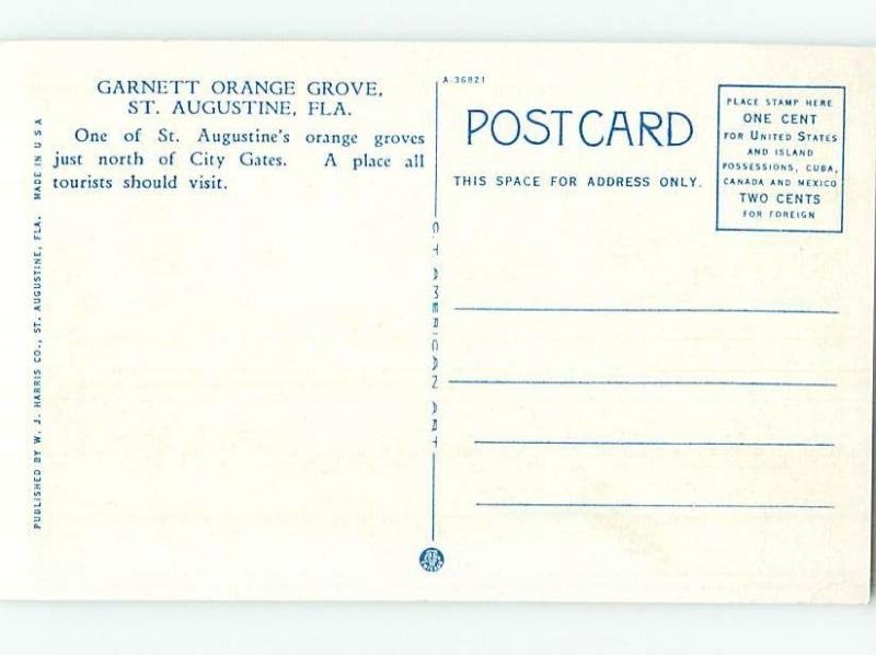 W-Border ORANGE GROVE St. Augustine Florida FL HJ7164