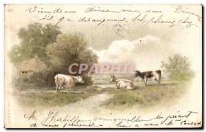 Old Postcard Cows