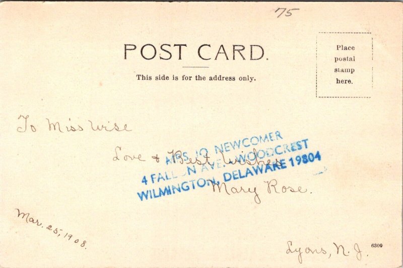 Public School, Basking Ridge NJ Undivided Back Vintage Postcard C06