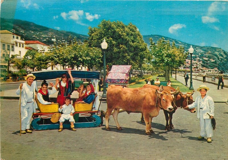 Portugal Postcard Madeira Funchal native people bull cart folklore