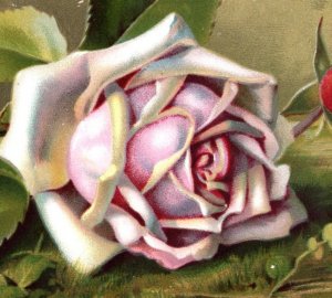 1880s Victorian Happy Returns Card Poem Fannie Rochat Roses #G