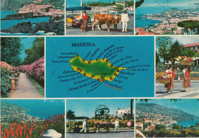 Portugal the best views of Madeira map & multi views postcard