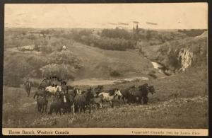 Vintage Postcard Used Stamp missing Horse Ranch Western Canada LB