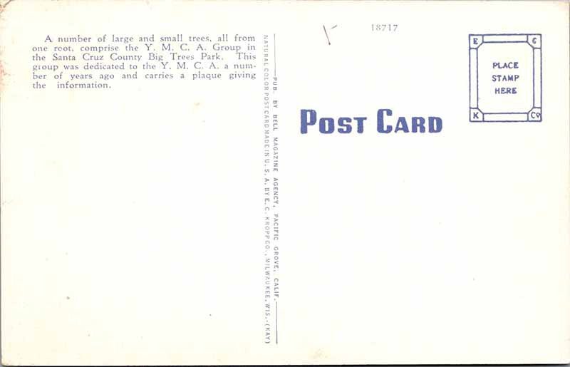 Postcard PEOPLE SCENE Santa Cruz Pennsylvania PA AK7492