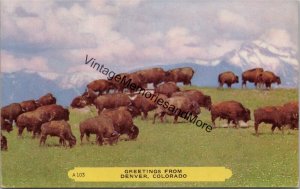 Greetings from Denver Colorado Postcard PC346