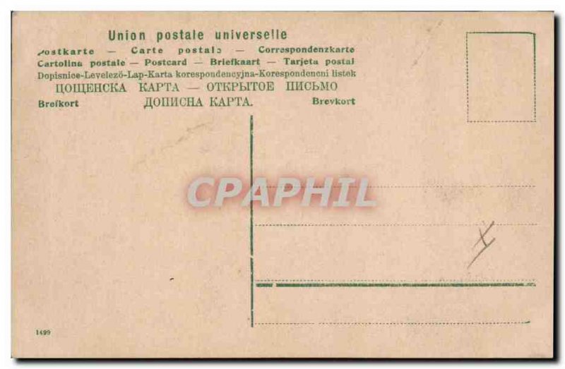 Old Postcard Cat Cats Kitten