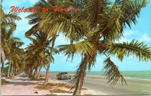 Postcard FL Car on highway with palm trees and ocean - Welcome to Florida