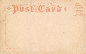 Springfield Massachusetts~State Street~Homes East From Elliot~Trolley~1905 B&W