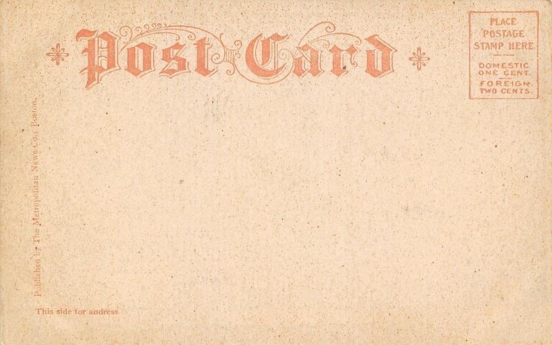 Springfield Massachusetts~State Street~Homes East From Elliot~Trolley~1905 B&W