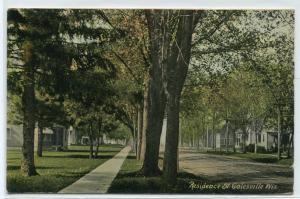 Residence Street Galesville Wisconsin 1910c postcard