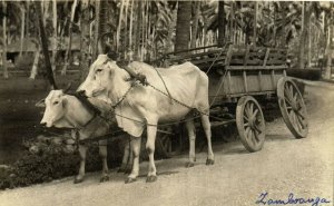 PC CPA PHILIPPINES ZABOANGA BULLOCK CART Vintage REAL PHOTO Postcard (b24651)