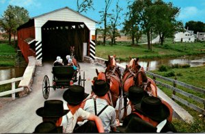 Pennsylvania Amish Boys Watching Girls Go By From A Farm Wagon