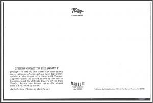 Arizona Spring Comes to the Desert - [AZ-066X]