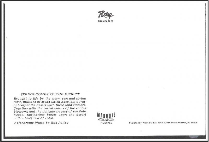 Arizona Spring Comes to the Desert - [AZ-066X]