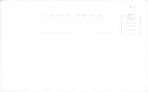 J29/ Niagara Falls New York RPPC Postcard c1940s Walkway Waterfall  62