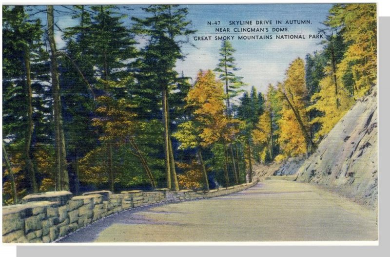 Smoky Mountains National Park, Postcard, North Carolina/NC-TN, Skyline Drive