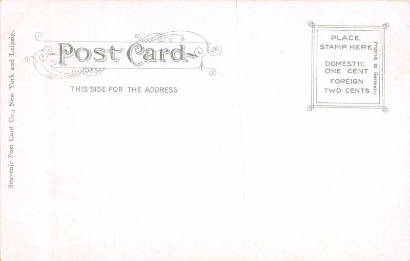 FLORIDA PALMETTO PALMS POSTCARD 1900s