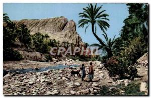 Africa - Africa - A Pretty Corner of the Oued and the Oasis - Old Postcard