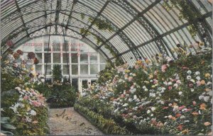 Postcard Interior Conservatory Mitchell Park Milwaukee WI 1907