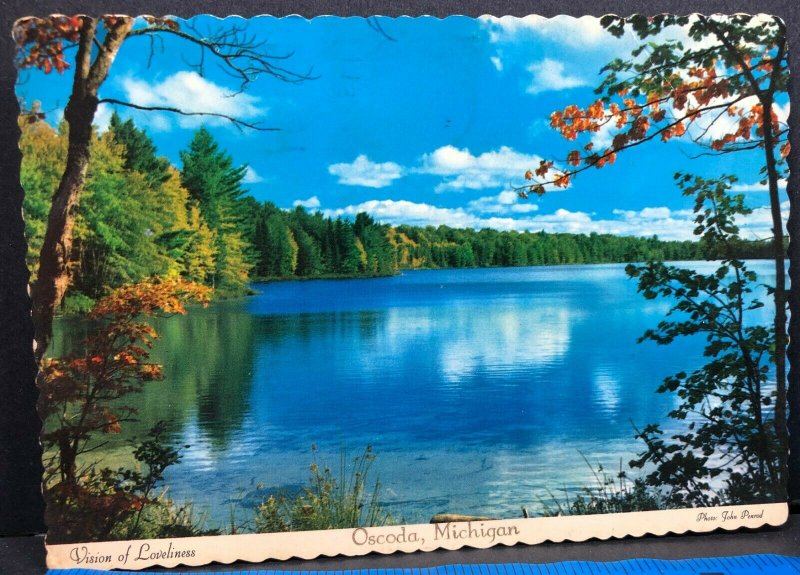 Oscoda Lake 1971 Michigan Vintage Postcard 