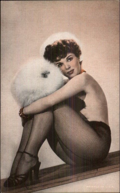 Sexy Woman Topless in Fishnet Stockings Semi-Nude c1930 Postcard | Topics - Risque - Women - Other, Postcard / HipPostcard Sexy Woman Topless in Fishnet Stockings Semi-Nude c1930 Postcard | Topics - Risque - Women - Other, Postcard / HipPostcard