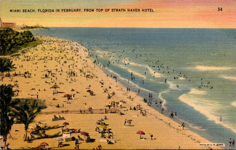 Florida Miami Beach View In February From Top Of Strath Haven Hotel 1941