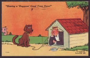 Having a Doggone Good Time Here,Man in Dog House Postcard