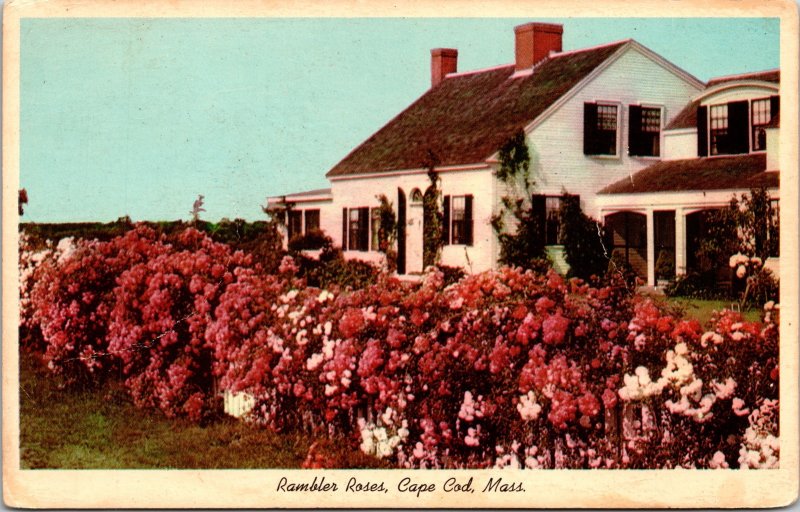 Rambler Roses Cape Cod Massachusetts MA House Postcard UNP VTG WOB Vintage