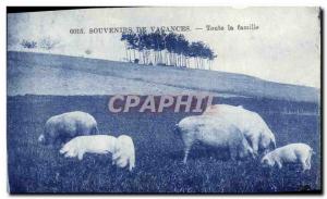 Postcard Old Pig Pig whole family