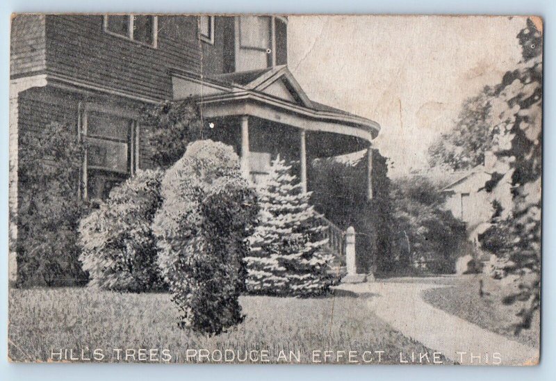 Dundee Illinois IL Postcard Tree Farms Advertising Hill's Trees Produce Vintage