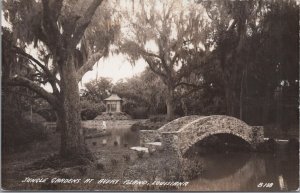 RPPC Postcard Jungle Gardens Avery Island Louisiana LA