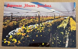 UNUSED POSTCARD - JAPANESE FLOWER GARDENS, PHOENIX, ARIZONA