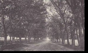 Iowa Waukon East Road Leading To Waukon Albertype