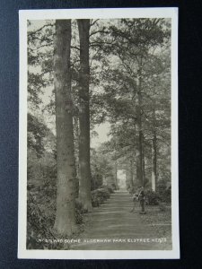 Hertfordshire ELSTREE Aldenham Park Woodland & Gardener - Old RP Postcard