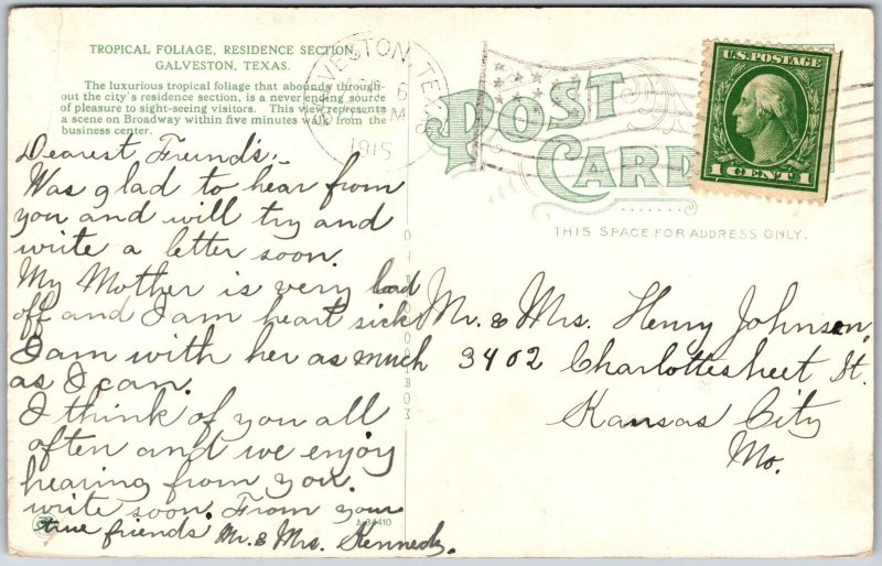 Galveston Texas, 1915 Tropical Foliage, Residence Section, Palm Trees, Postcard