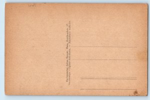 Vendée Pays de la Loire France Postcard Aprémont Road View c1910 Antique