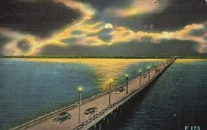 Vintage Postcard Night View Gandy Bridge Between Tampa & St. Petersburg Florida