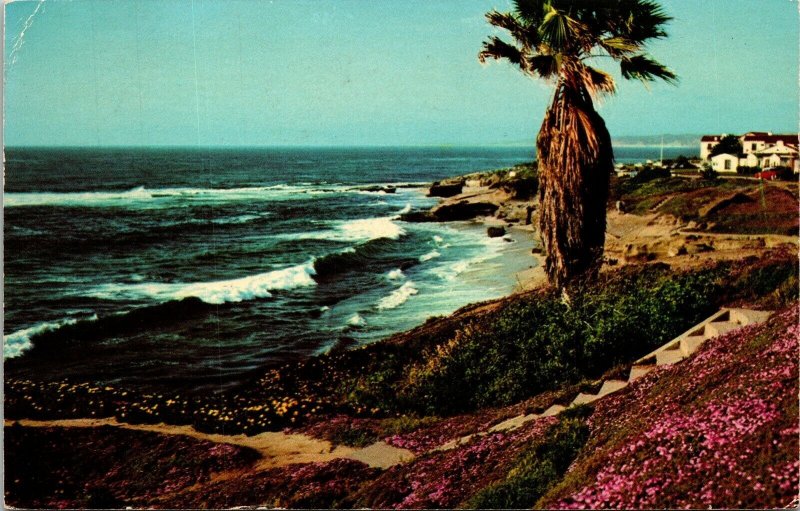 Along Shore La Jolla California CA Postcard PM Cancel WOB Note Curteich VTG  