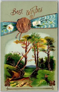 Best Wishes, 1911 Scenic Landscape Ribbon Medallion, Four-Leaf Clovers, Postcard
