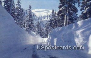 Mile High Snowbanks - Cascade Mountains, Washington WA Postcard