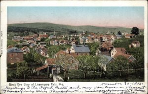 Livermore Falls Maine ME Bird's Eye View Copper Windows c1910 Postcard