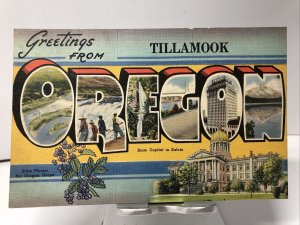 Vintage 1940s GREETINGS From OREGON Tillamook Large Letter Postcard