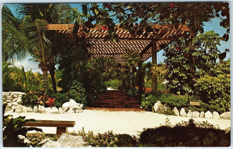 c1960s Freeport, Bahamas Bower Hanging Plants Garden of Groves Chrome PC A304