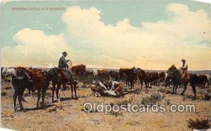 Branding Cattle Park View Cow Writing on back 