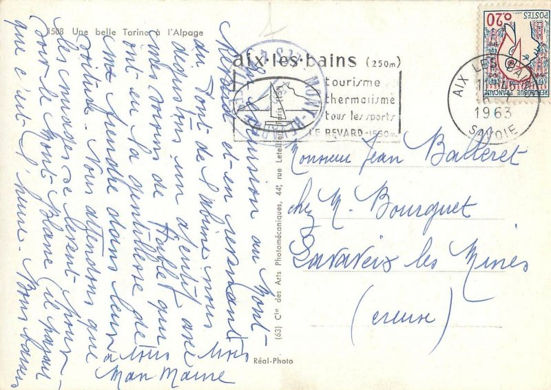 Animal Postcard Cow alpine pasture