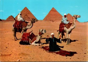Egypt Gizah Arab Camel Riders In Front of The Pyramids